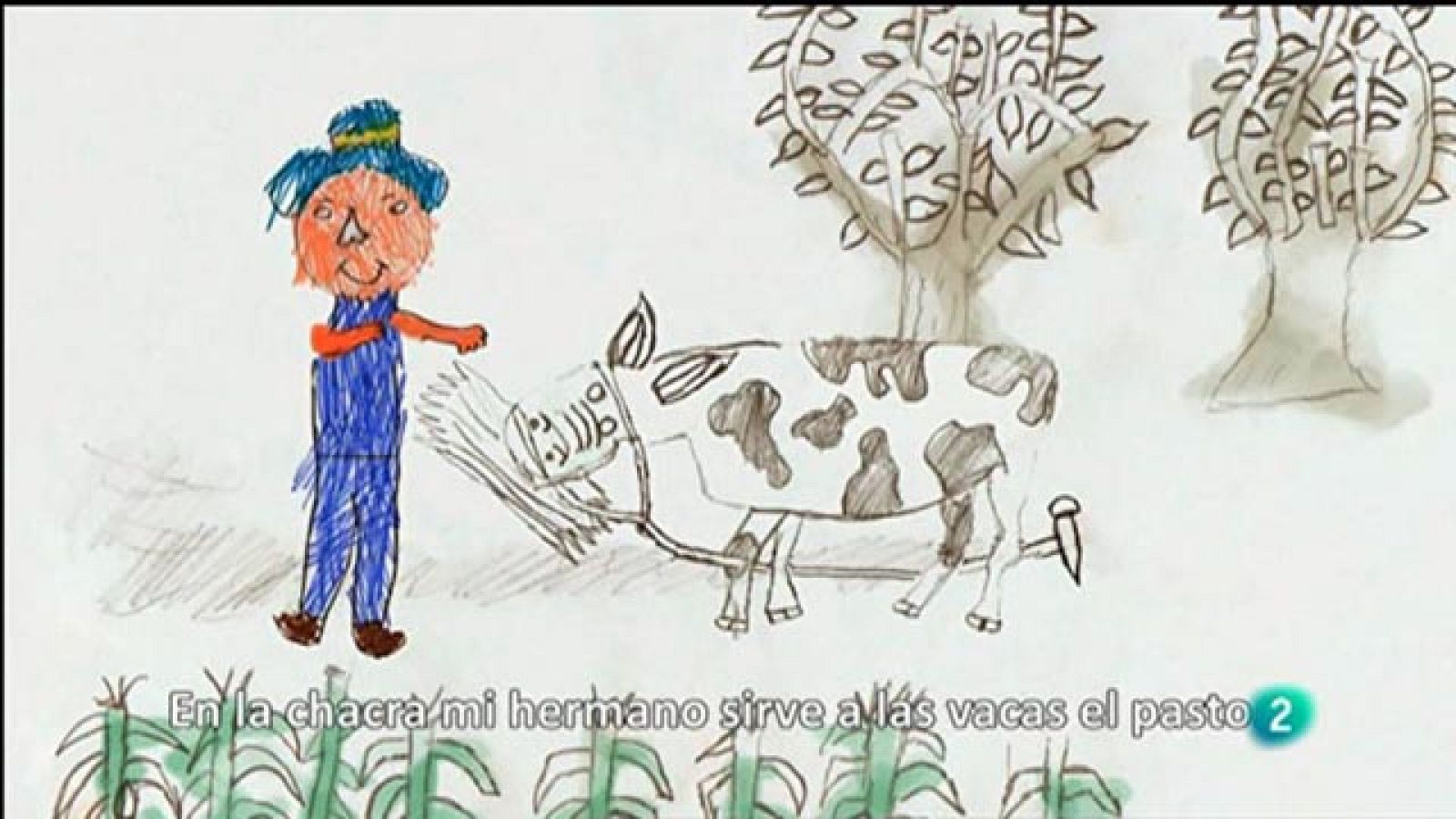 Para Todos La 2 - Trabajo infantil -  "Hijos Ayllu"