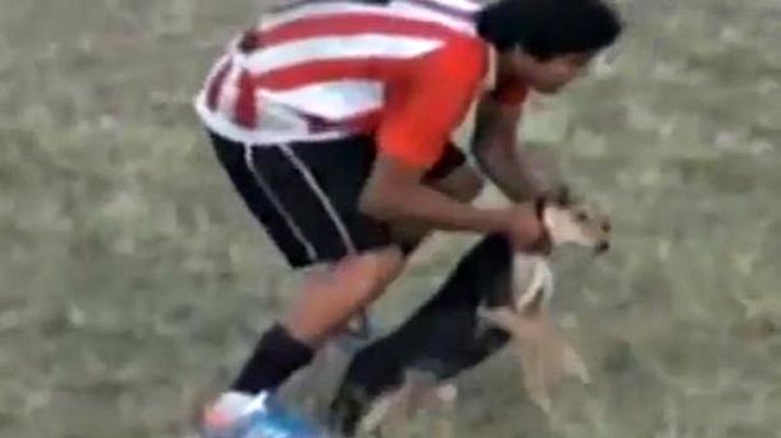 Telediario 1 - Expulsado por maltratar a un perro durante un partido