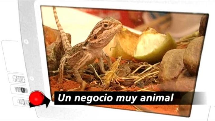 Repor - Un negocio muy animal - Avance