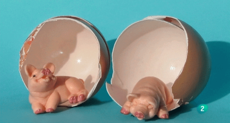 La aventura del Saber - Boek Visual: Juan Rosco.