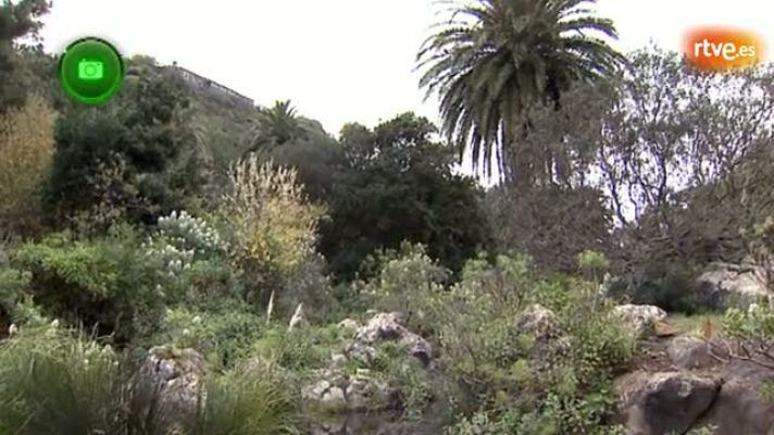 Agrosfera - Agüimes