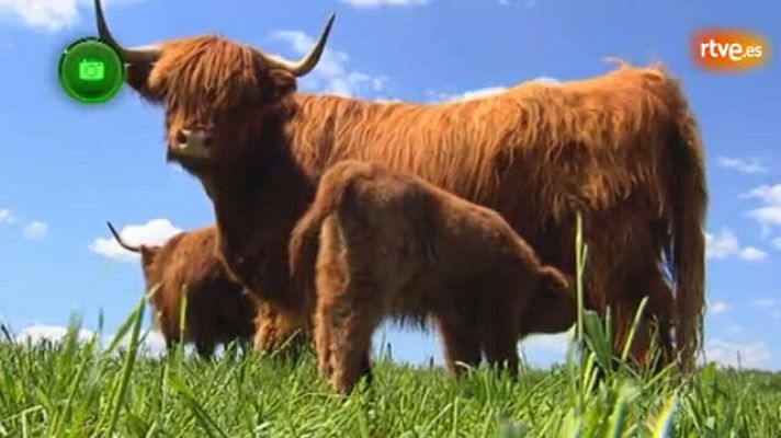 Agrosfera - Sierra de Ávila