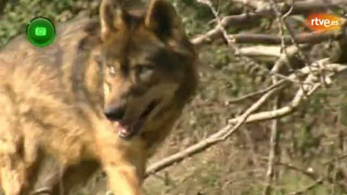 Agrosfera - Sierra de la Culebra