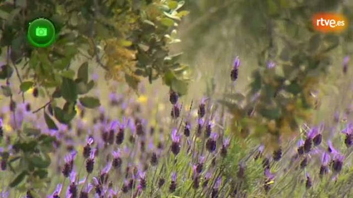 Agrosfera - Sierra oeste de Madrid