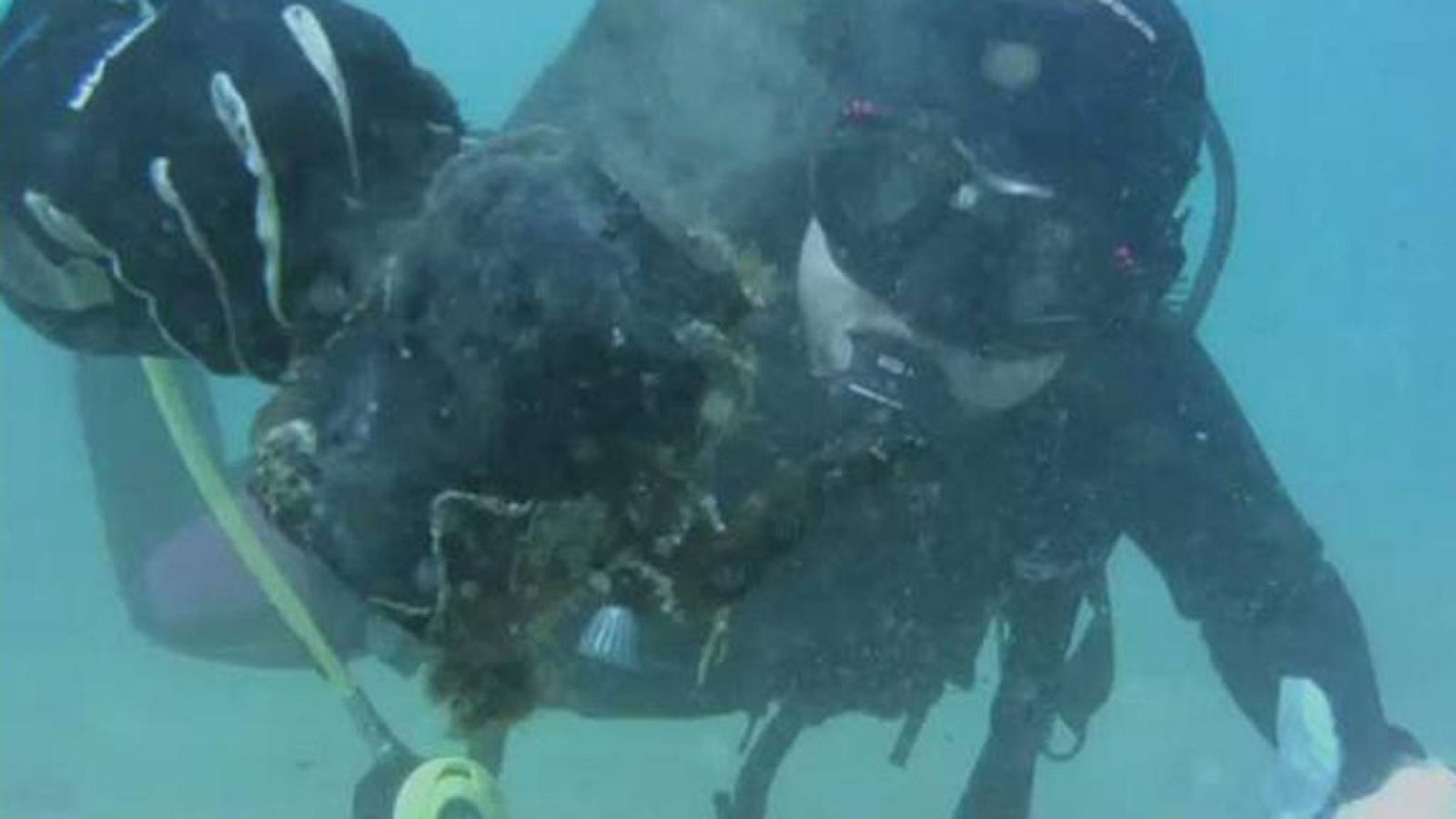 El escarabajo verde - Sopa de plástico - Avance