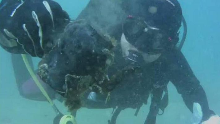 El escarabajo verde - El escarabajo verde - Sopa de plástico - Avance