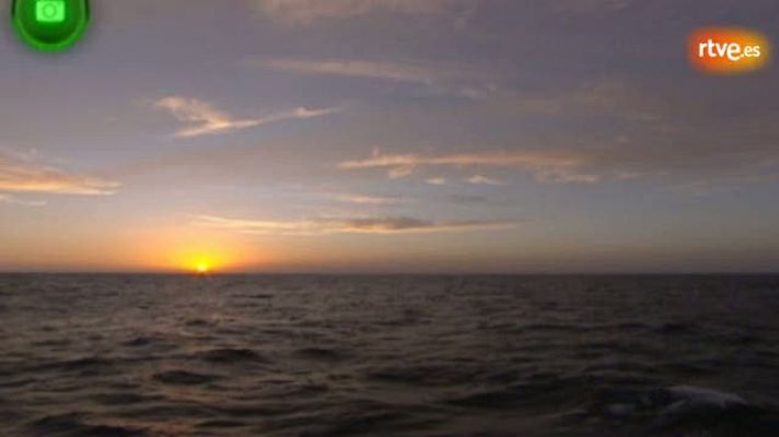 Agrosfera - Delta del Ebro