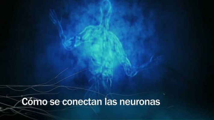 Redes - Redes - Cómo se conectan las neuronas - avance