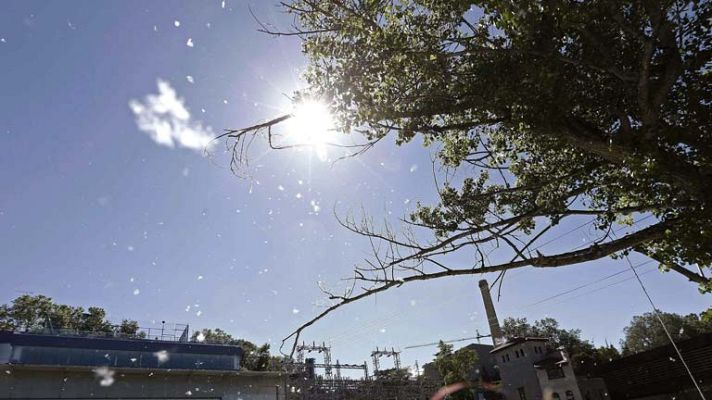 Informativo de Madrid - El tiempo en la Comunidad de Madrid - 14/06/13