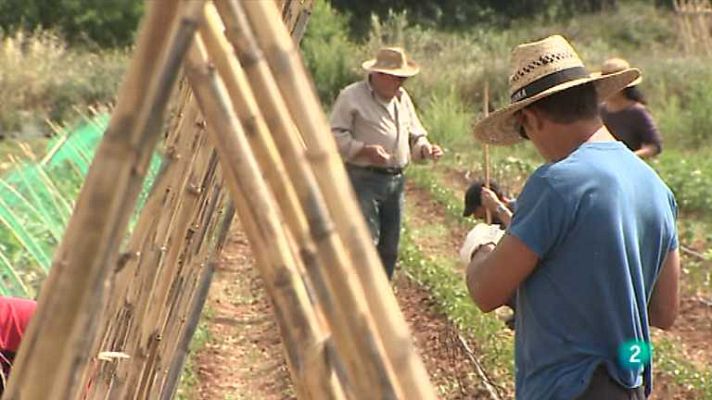 Agrosfera - Agrosfera - 15/06/13