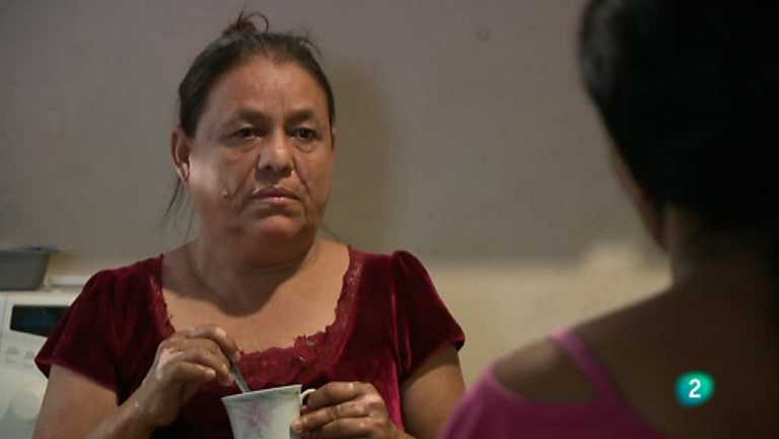 Pueblo de Dios - La vida paso a paso - ver ahora