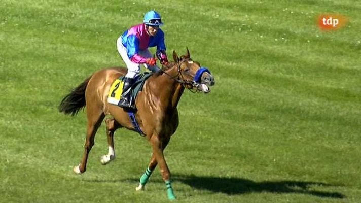 Turf - Turf - 16/06/13