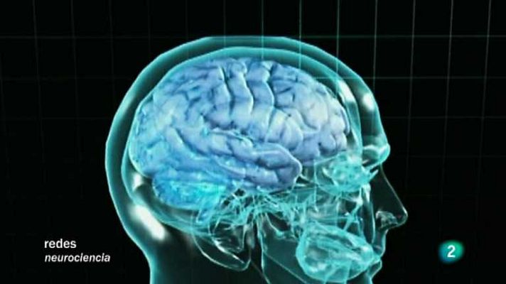 Redes - Cómo se conectan las neuronas V.O.