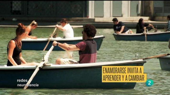 Redes - La capacidad plástica