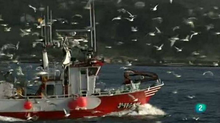 Agrosfera - Come o mar