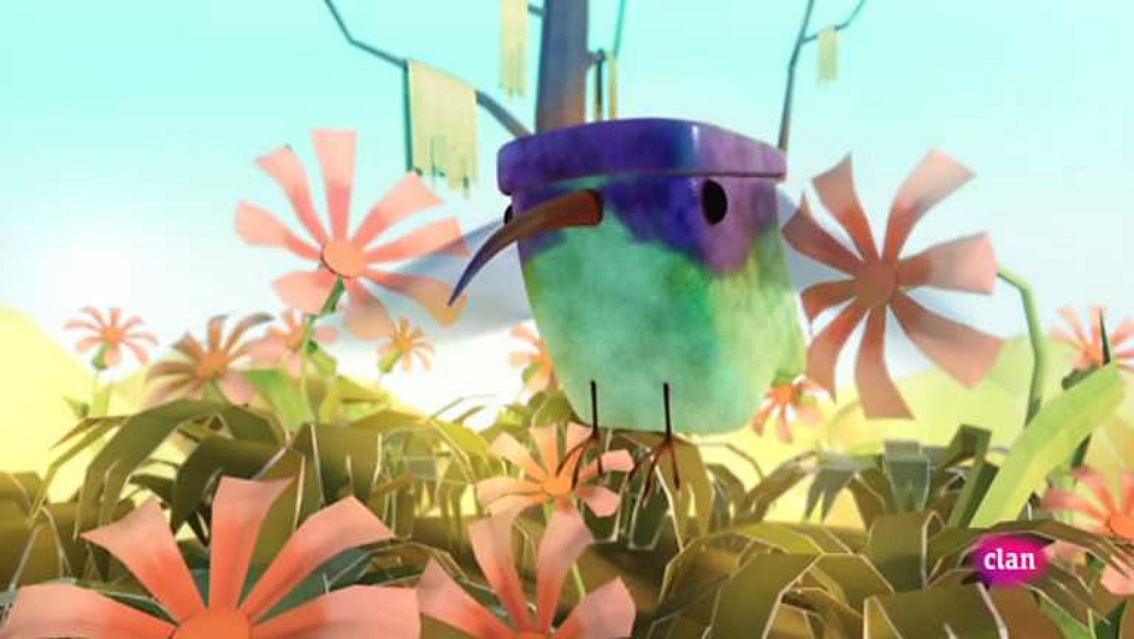 Colibrí - Zoobabu | Ver