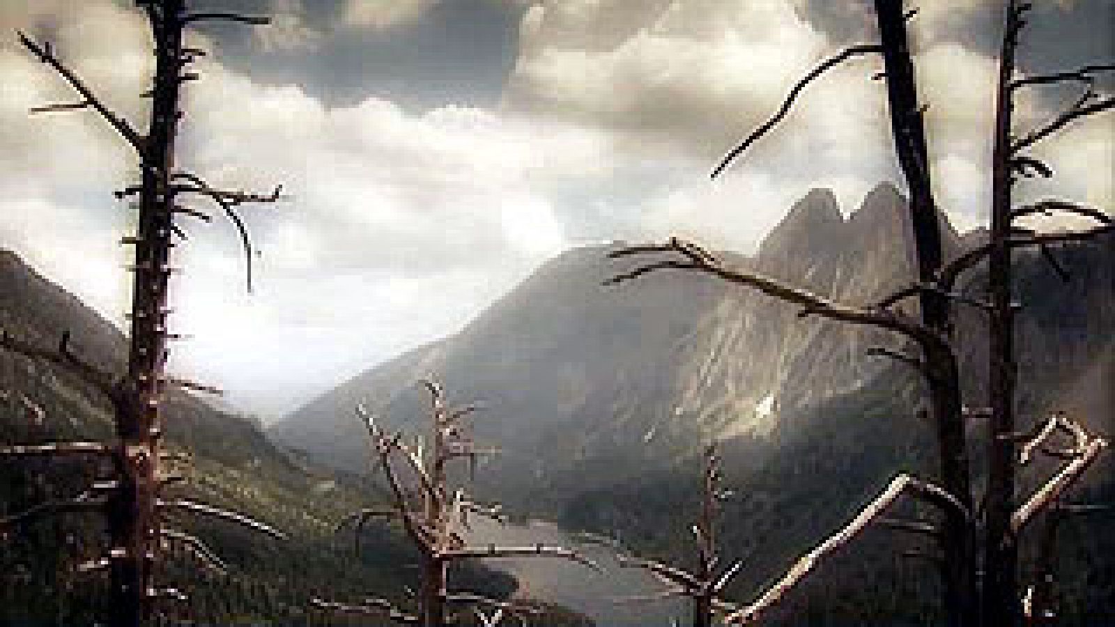 Taoísmo y Naturaleza.