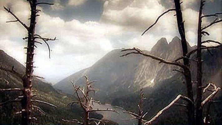 Universo UNED - Taoísmo y Naturaleza.