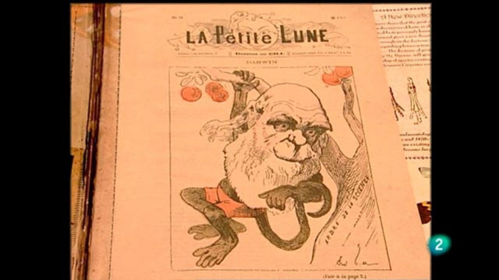 Para Todos La 2 -  Debate: Charles Darwin