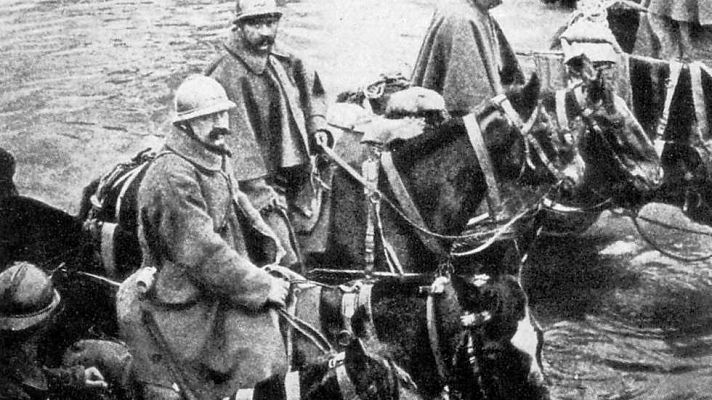 Documenta2 - Caballo de batalla. La verdadera historia