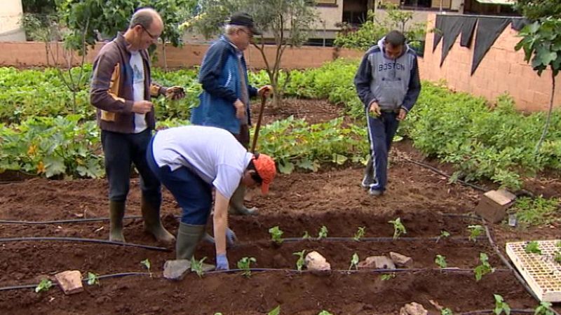 + Canarias - 19/06/13 - +Canarias | Ver