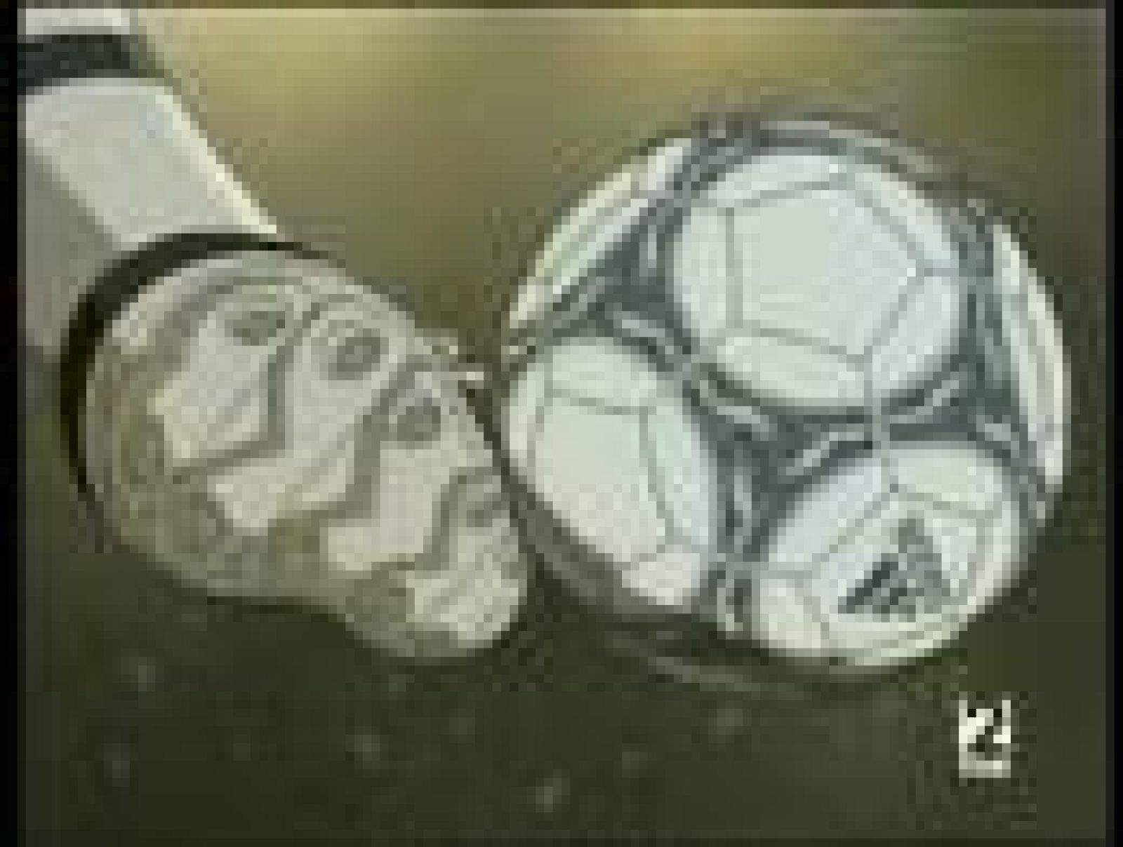 Cap29. Campeones hacia el Mundial: Oliver y Benji 