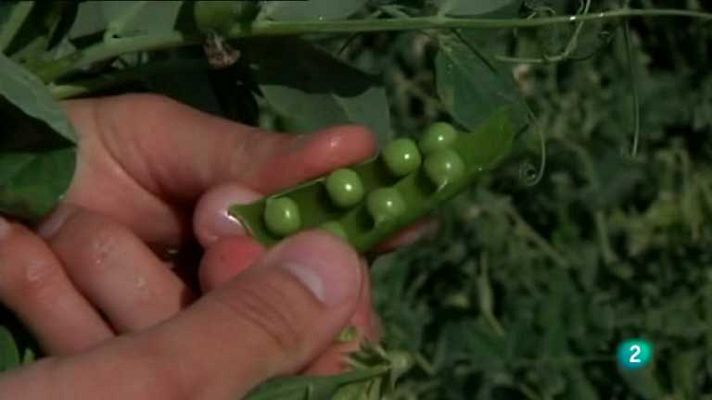 Agrosfera - Agrosfera - 22/06/13