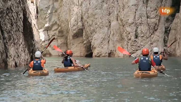 Evasión - T1 - Programa nº 8