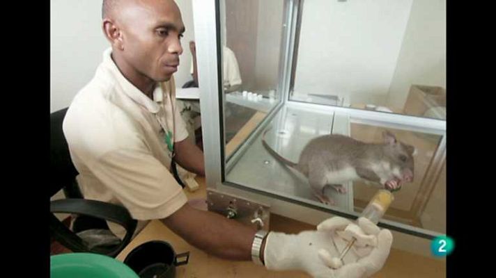 Buenas ideas TED - Buenas Ideas TED - 23/06/13