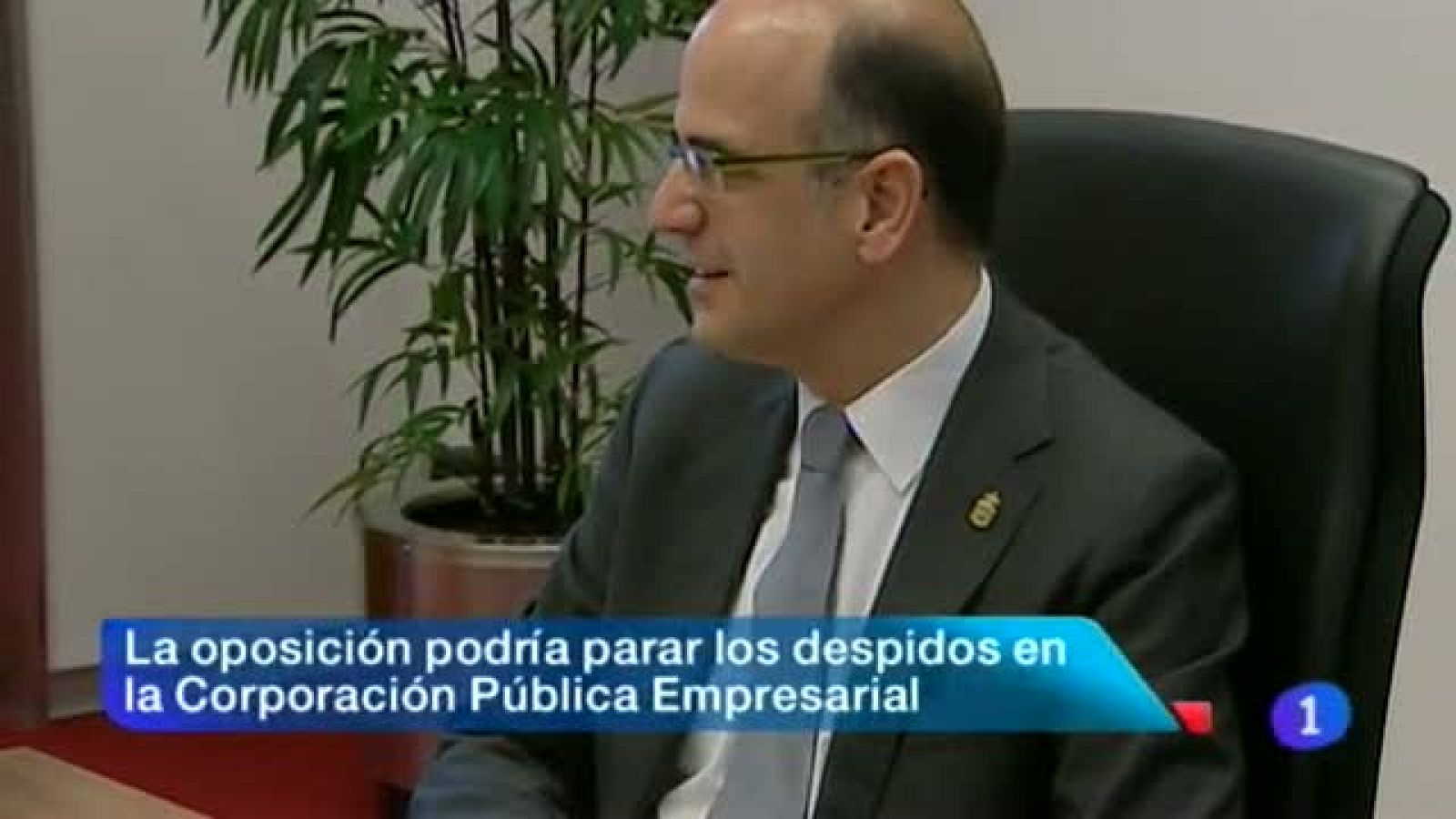 Telenavarra - 24/06/2013 | Ver