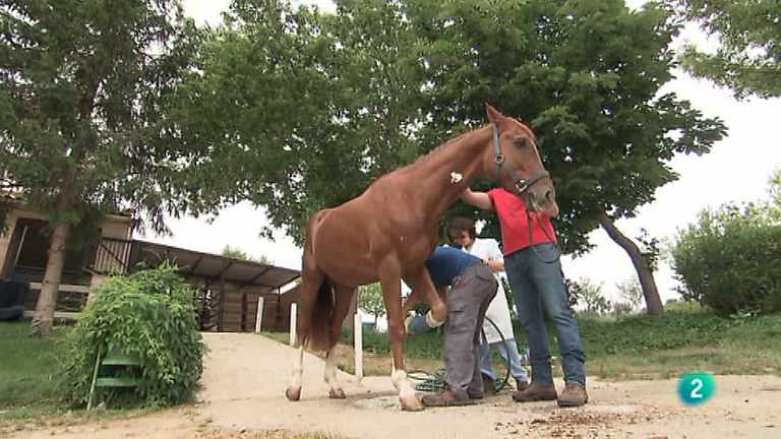 Aquí hay trabajo - 25/06/13  - Ver ahora