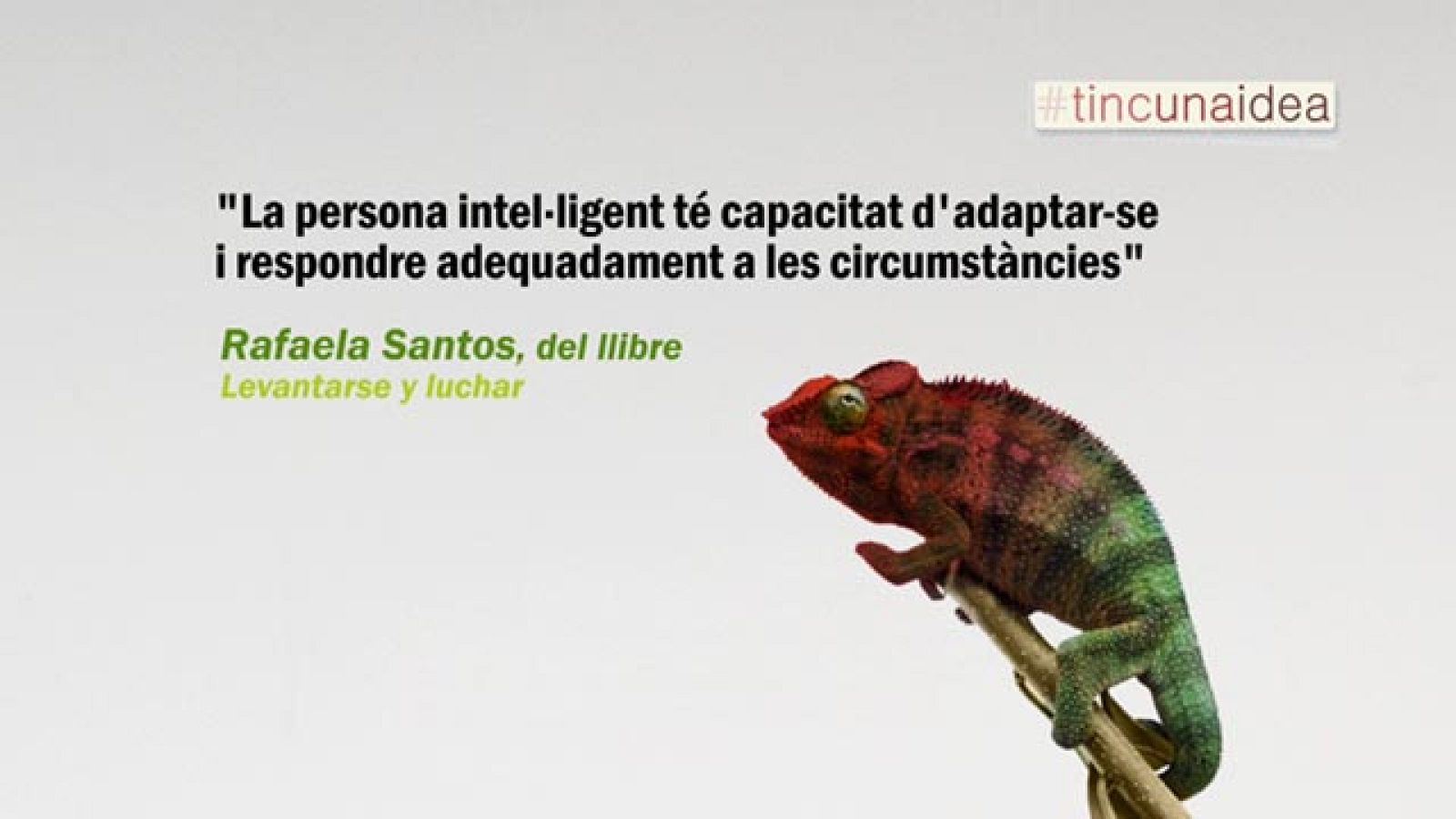 Tinc una idea - TUI - Rafaela Santos