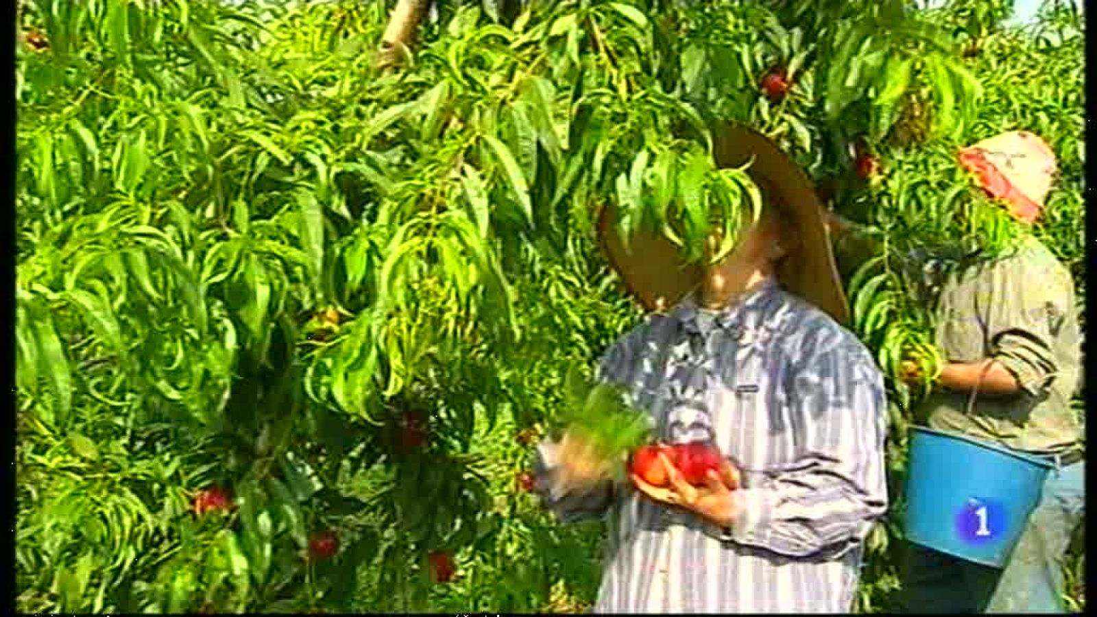 Noticias Aragón - 27/06/13 | Ver