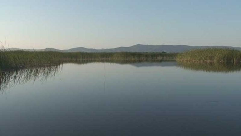 Nuboso en los Pirineos y el Estrecho, despejado en el resto