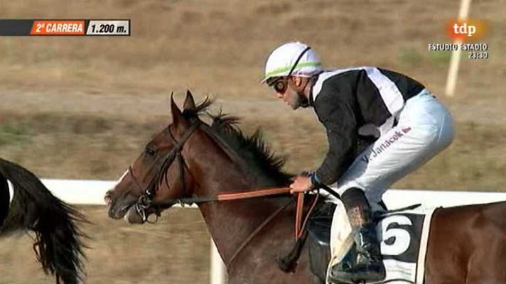 Turf - Turf - 28/06/13