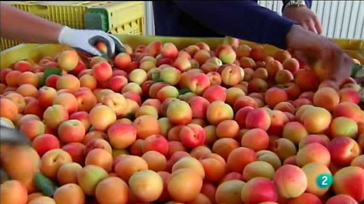 Agrosfera - Agrosfera - 29/06/13