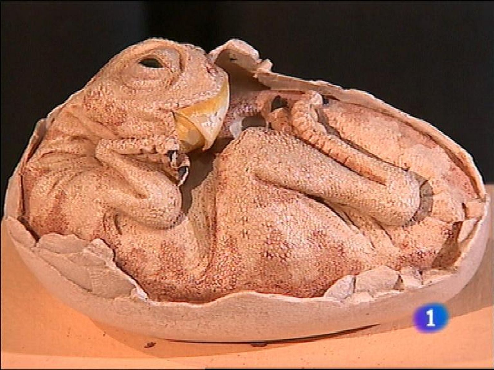 Panorama Regional - 01/07/13 | Ver