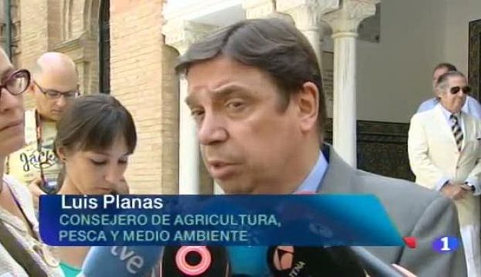 Noticias Andalucía - Noticias Andalucía 2 - 01/07/2013