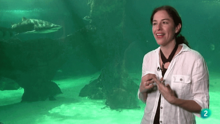 La aventura del Saber - Guadalupe Nettel