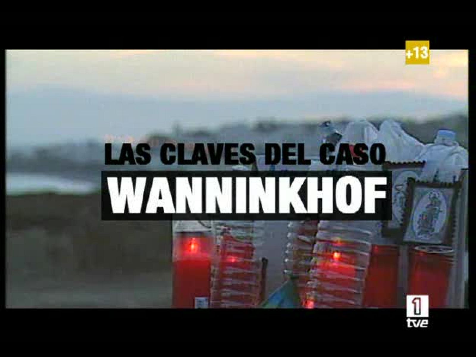 Las claves del caso Wanninkhof - Ver ahora