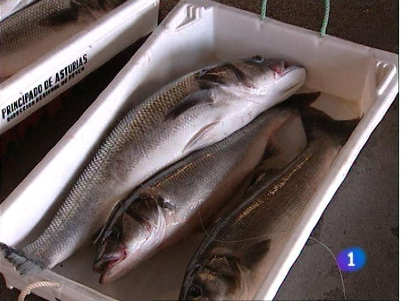 Panorama Regional 2 - 04/07/13 | Ver