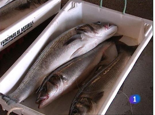 Panorama Regional - Panorama Regional 2 - 04/07/13