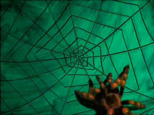 Leonart - Leonart - El taller de Donna Lisa