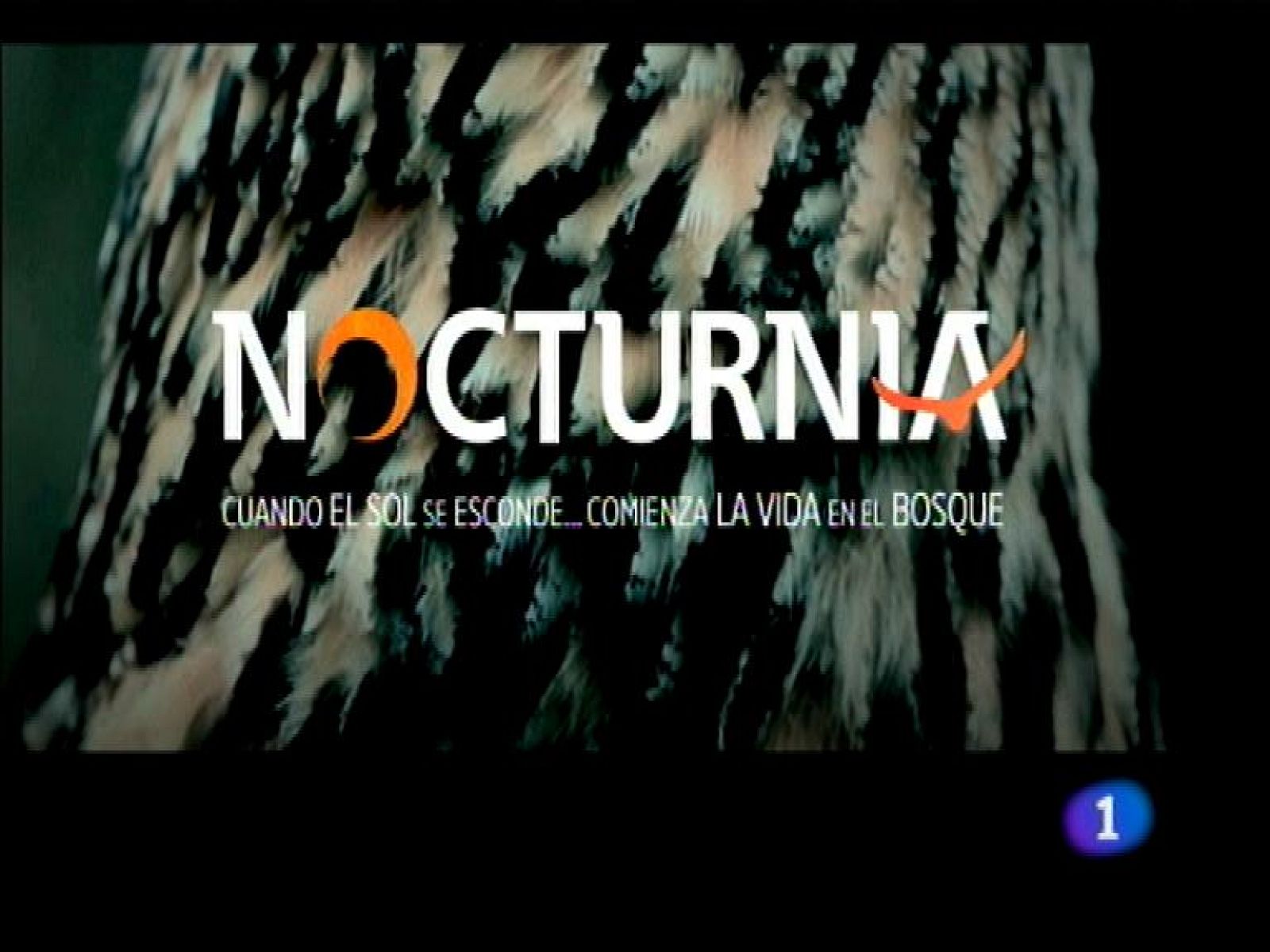 Panorama Regional - 05/07/13 | Ver