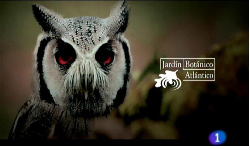 Panorama Regional 2 - 05/07/13 | Ver