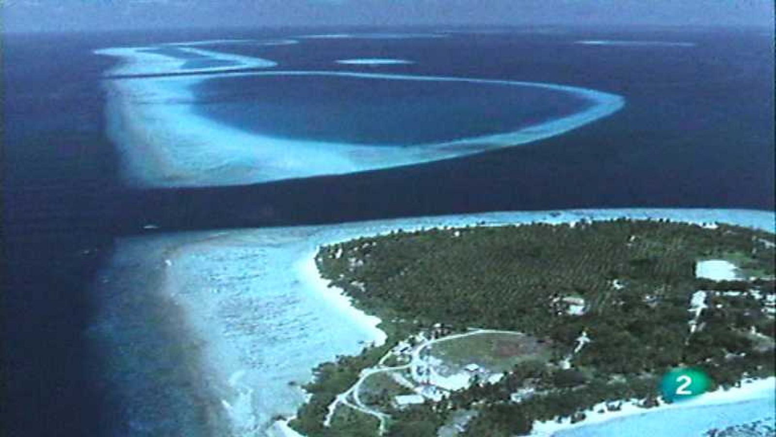 El arrecife de coral - El hombre y el arrecife de coral - ver ahora