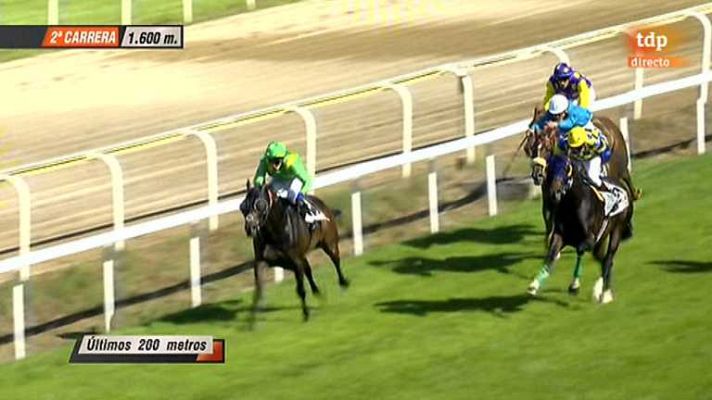 Turf - Turf - 07/07/13