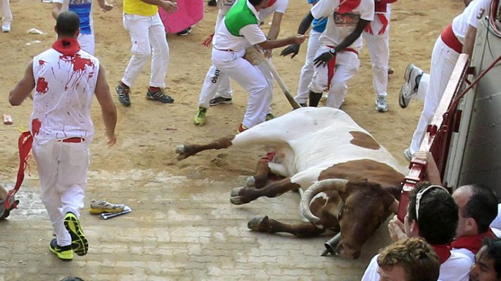 San Fermín - Muere un cabestro en San Fermín 13