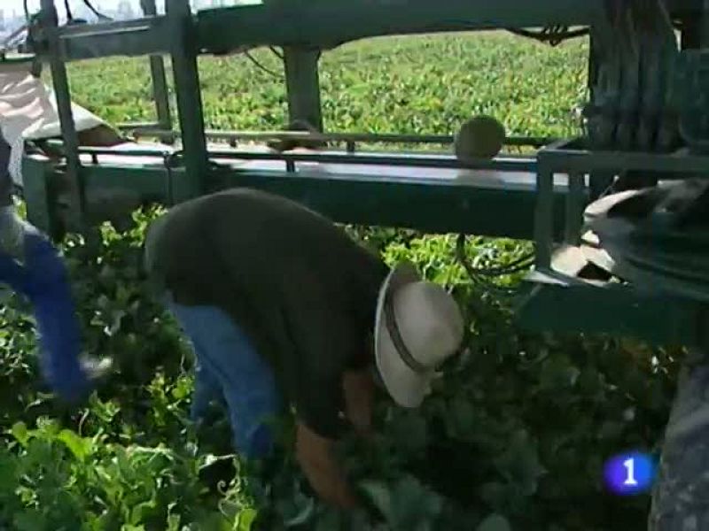 La Comunidad de Murcia en 2'.(09/07/2013)
