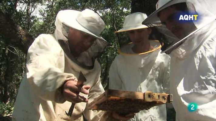 Aquí hay trabajo - Aquí hay trabajo - 10/07/13